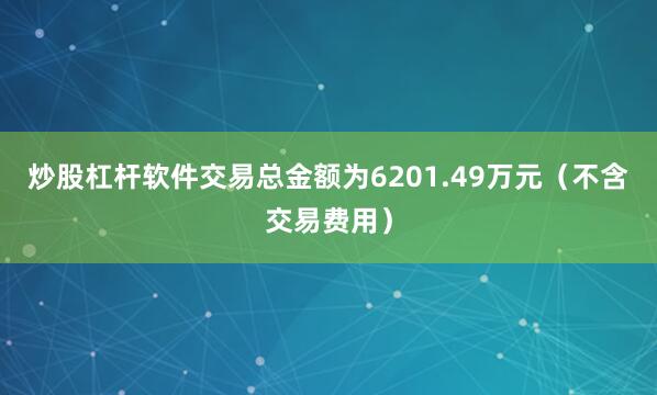 炒股杠杆软件交易总金额为6201.49万元（不含交易费用）
